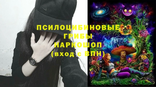 гашик Аркадак