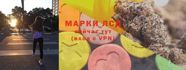 гашик Аркадак