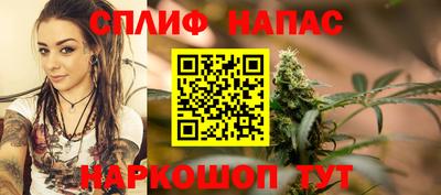 мдпв Обь