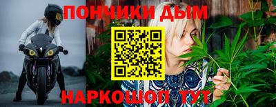 амф Шебекино