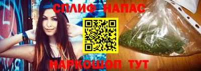 мдпв Обь