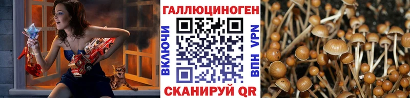 Галлюциногенные грибы мицелий  Балашов 