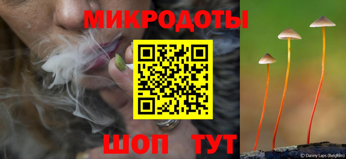 купить наркотик  Вход с VPN  Балашов  Галлюциногенные грибы прущие грибы 